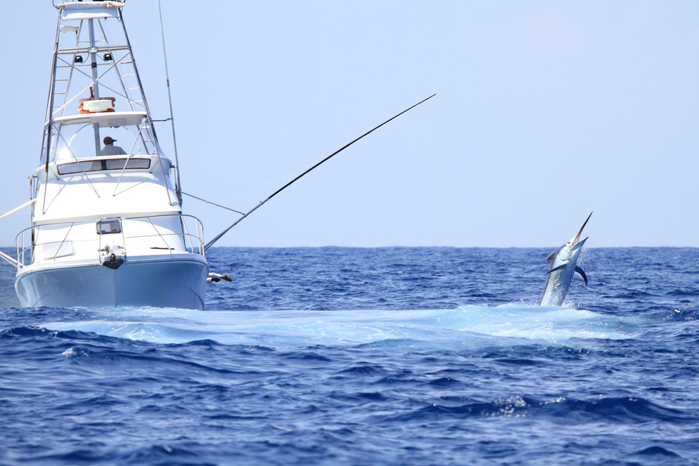 Game fishing boat fighting a marlin